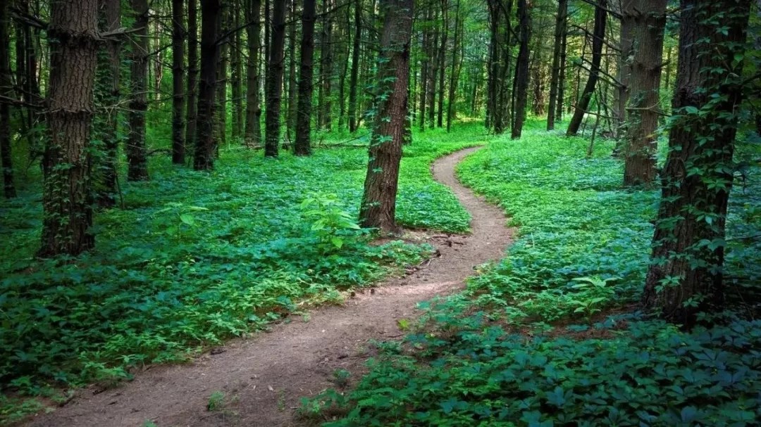 “五年规划”的历史经验与“十四五”规划的指导思想研究(一）